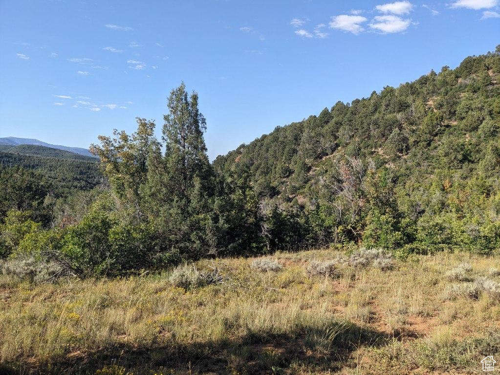 337  NORTH FORK RD RD Mt Pleasant, UT 84647