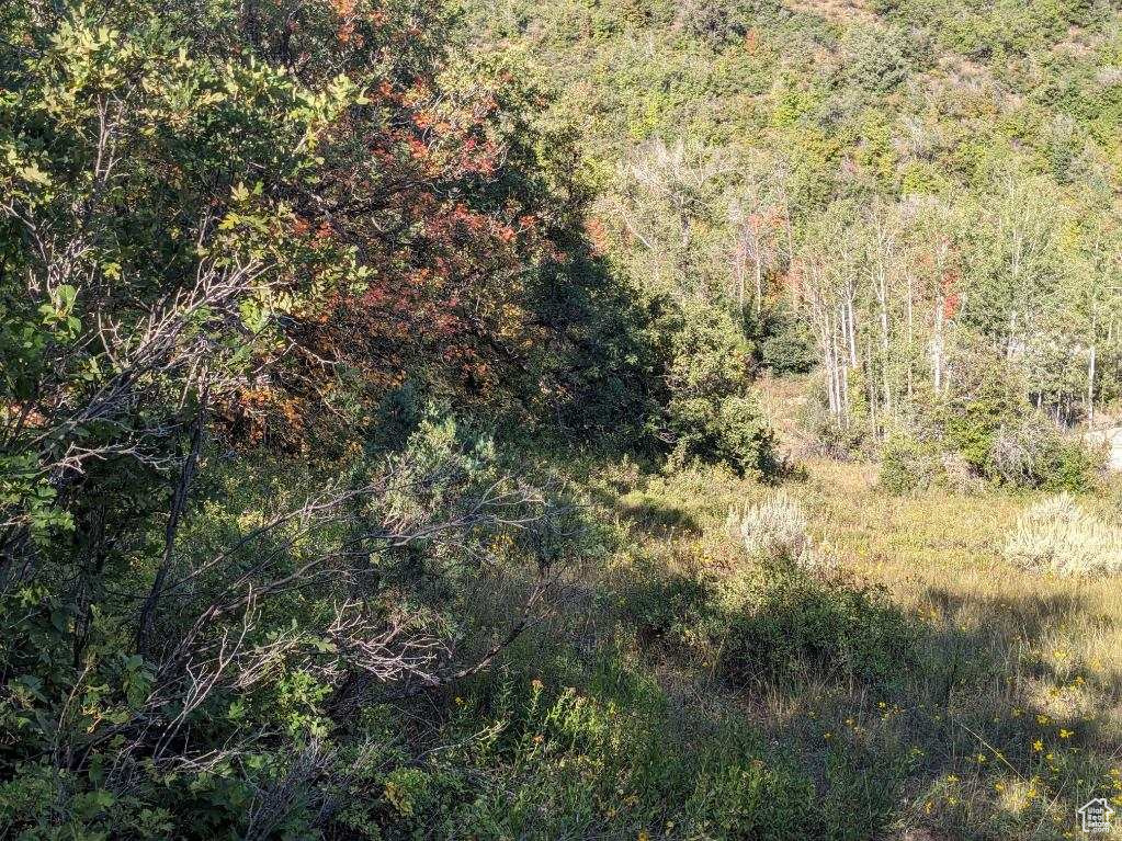 337  NORTH FORK RD RD Mt Pleasant, UT 84647