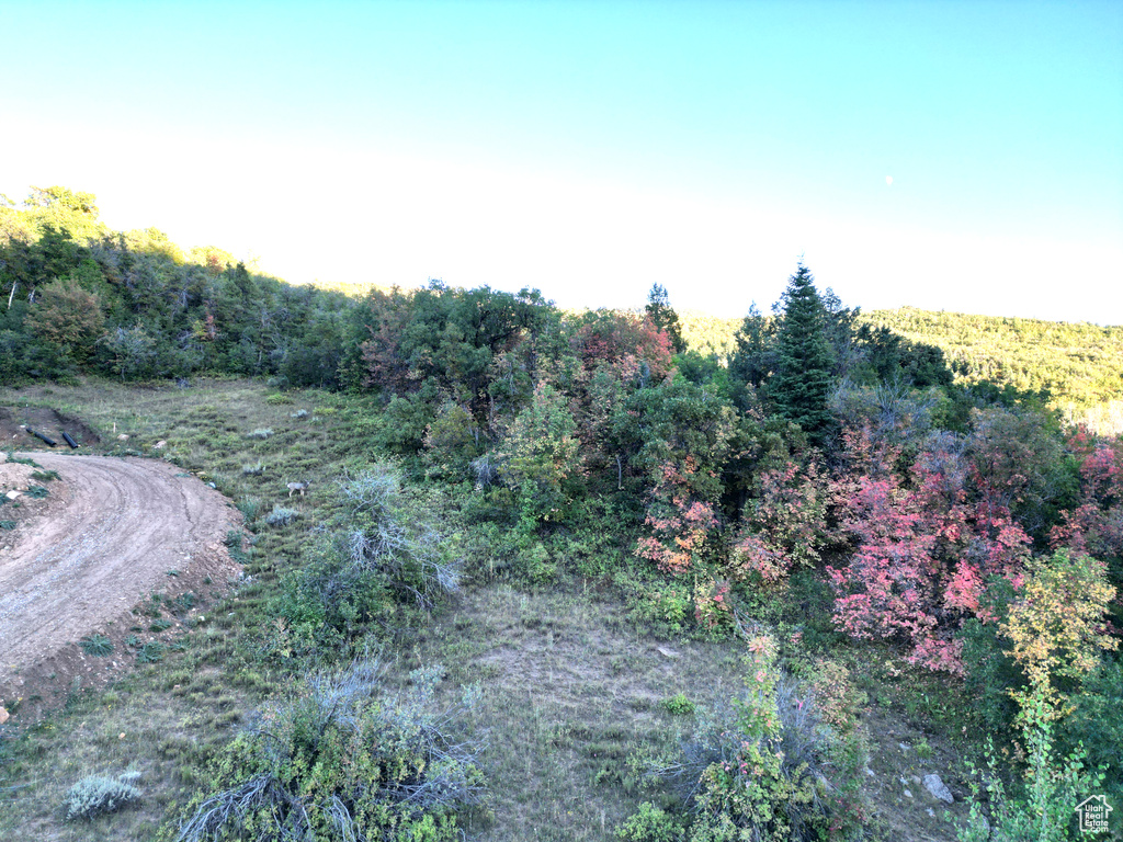 337  NORTH FORK RD RD Mt Pleasant, UT 84647