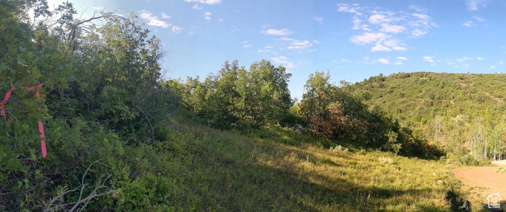 337  NORTH FORK RD RD Mt Pleasant, UT 84647