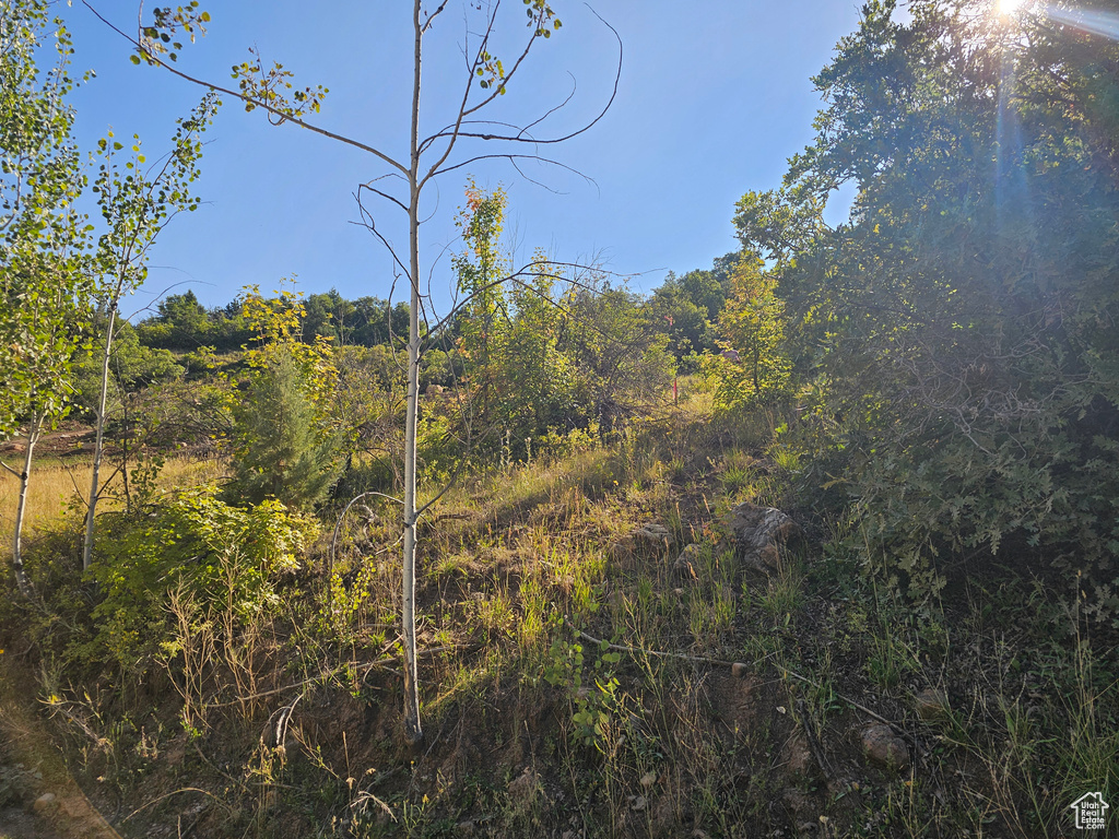 337  NORTH FORK RD RD Mt Pleasant, UT 84647