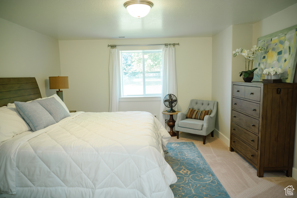Photo 44 for MLS #2118408 at 4008 S Cottonwoods Ct