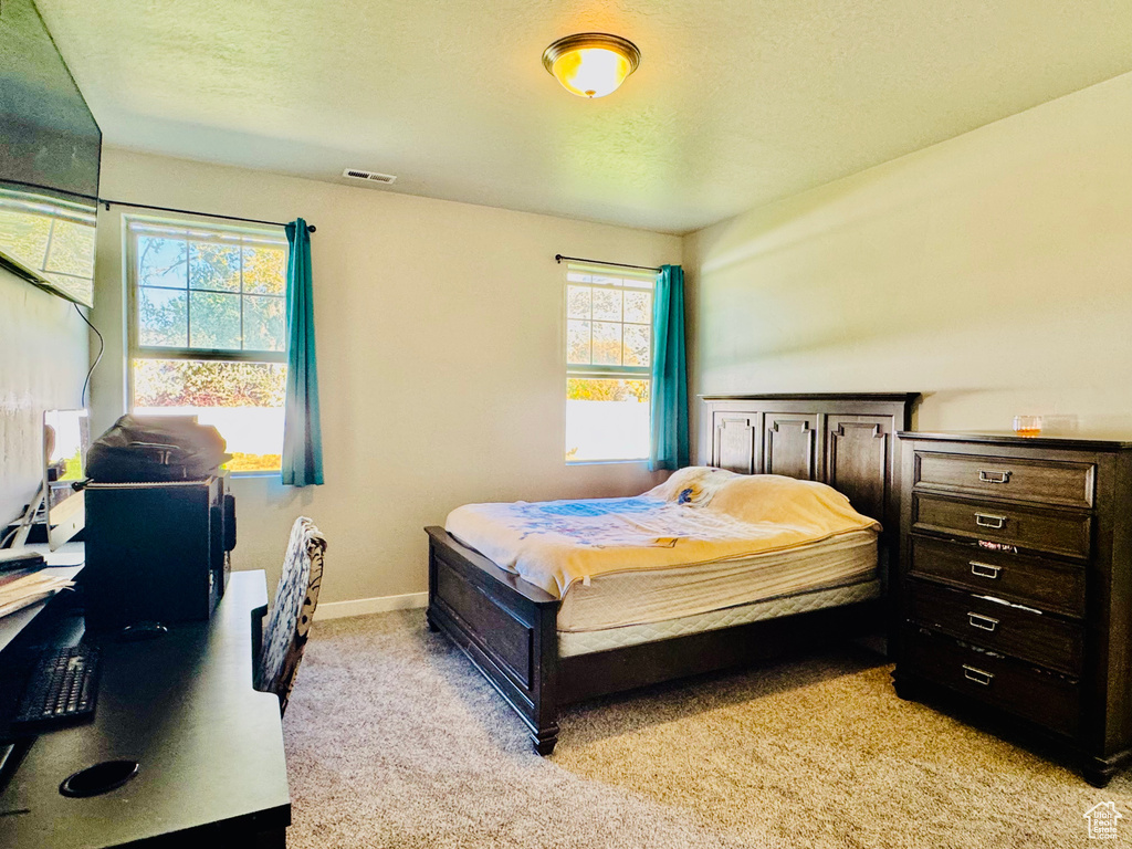 Photo 27 for MLS #2118415 at 954 N Wahlen Way