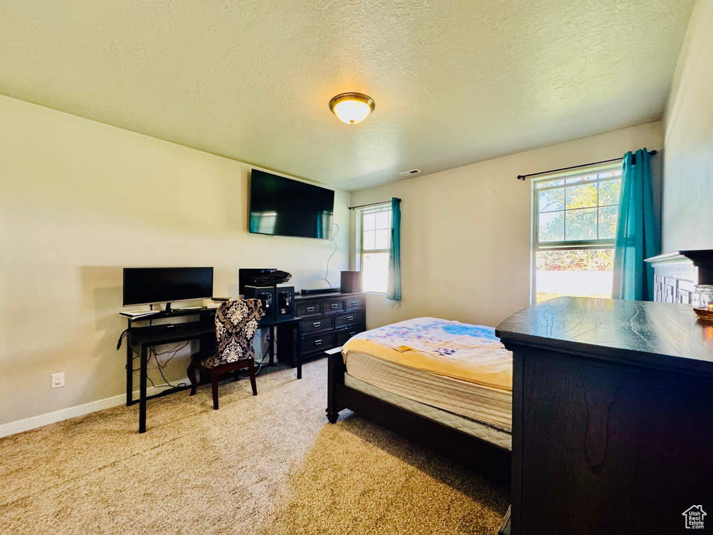 Photo 28 for MLS #2118415 at 954 N Wahlen Way