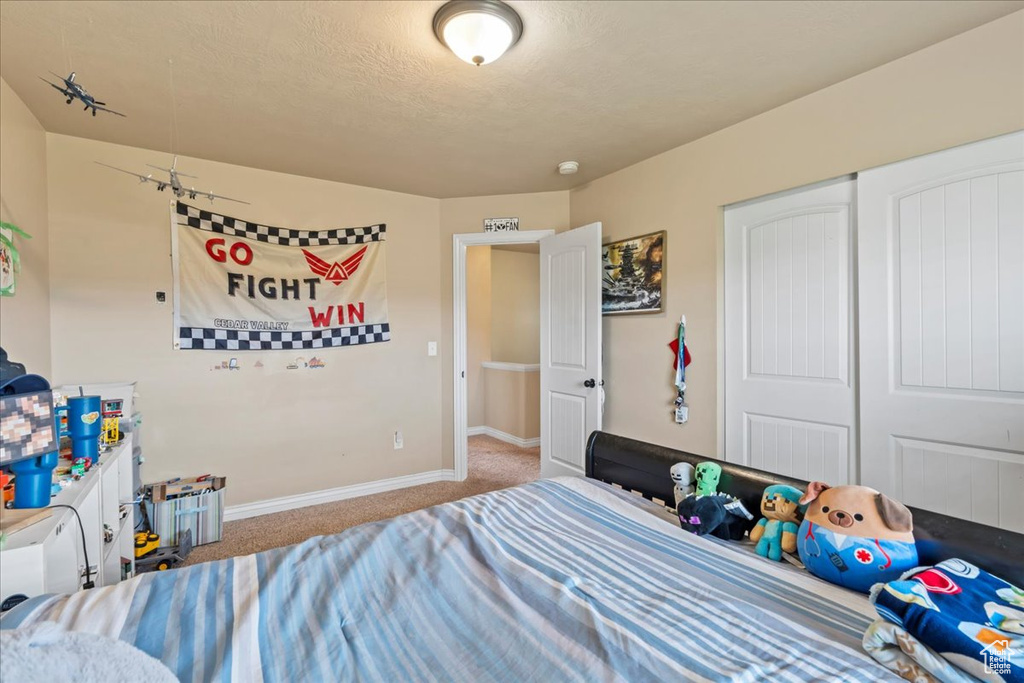 Photo 25 for MLS #2118457 at 3262 E Appaloosa Way