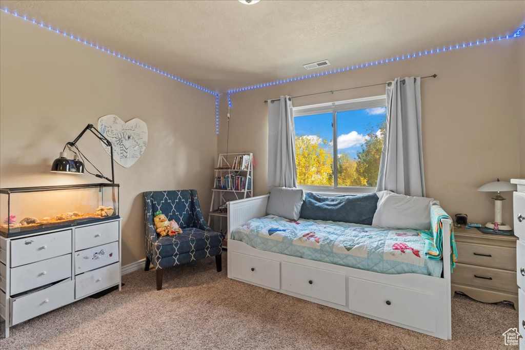 Photo 26 for MLS #2118457 at 3262 E Appaloosa Way