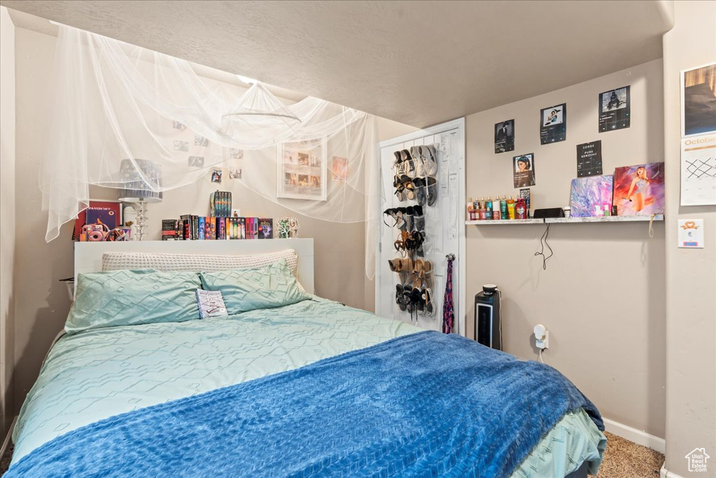 Photo 34 for MLS #2118457 at 3262 E Appaloosa Way