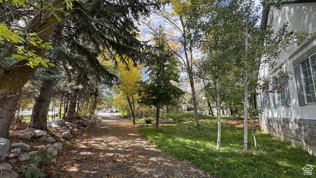 Photo 37 for MLS #2118482 at 3780 N Willow Brooke Ln