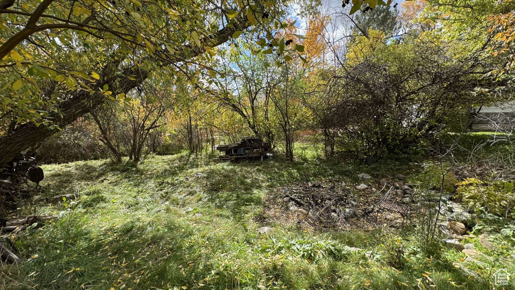 Photo 41 for MLS #2118482 at 3780 N Willow Brooke Ln
