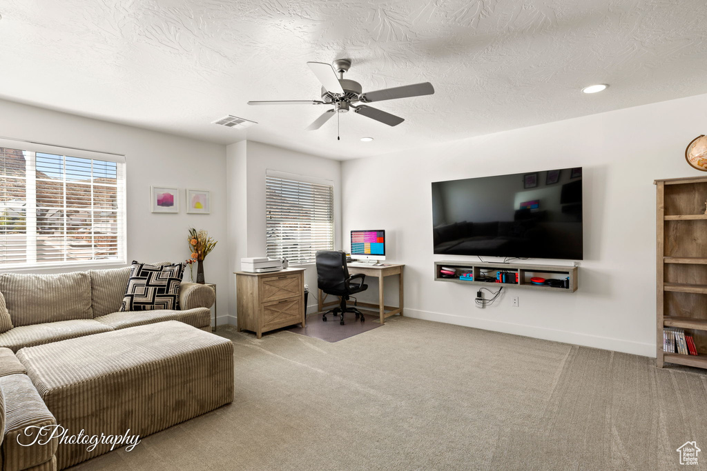 Photo 18 for MLS #2118531 at 3313 E Maple Mountain Dr