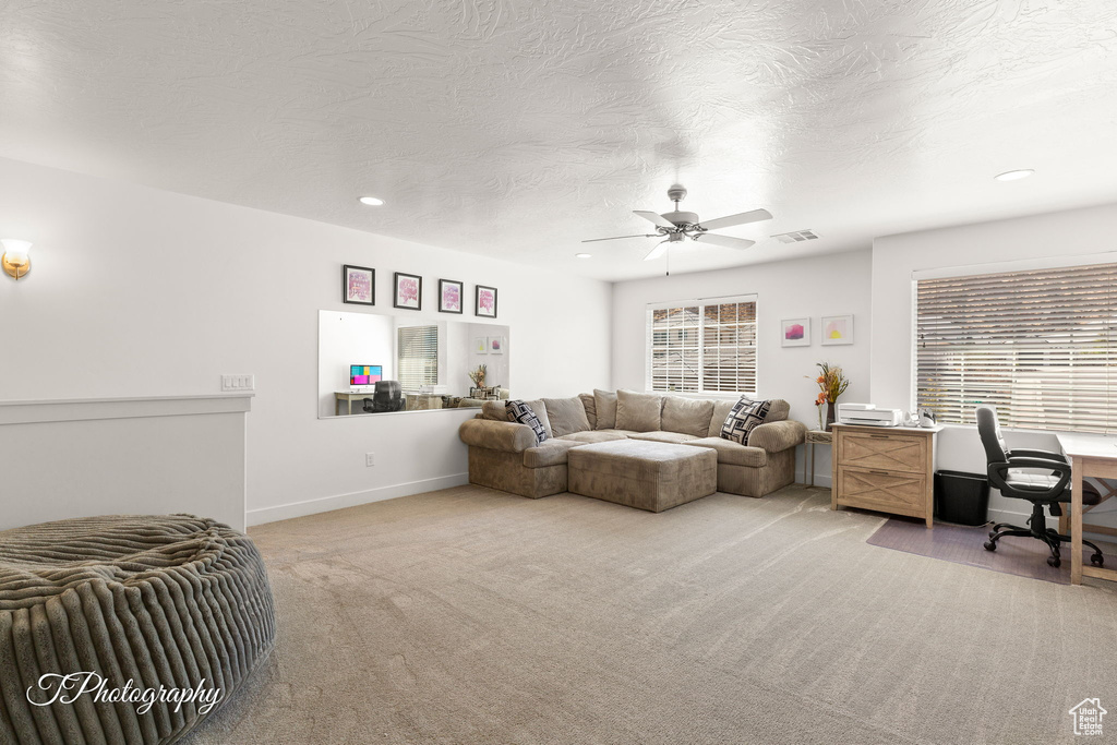 Photo 19 for MLS #2118531 at 3313 E Maple Mountain Dr