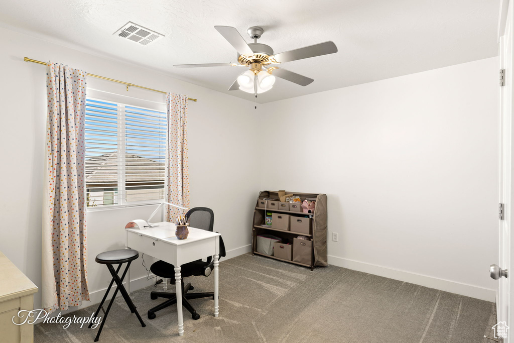 Photo 24 for MLS #2118531 at 3313 E Maple Mountain Dr