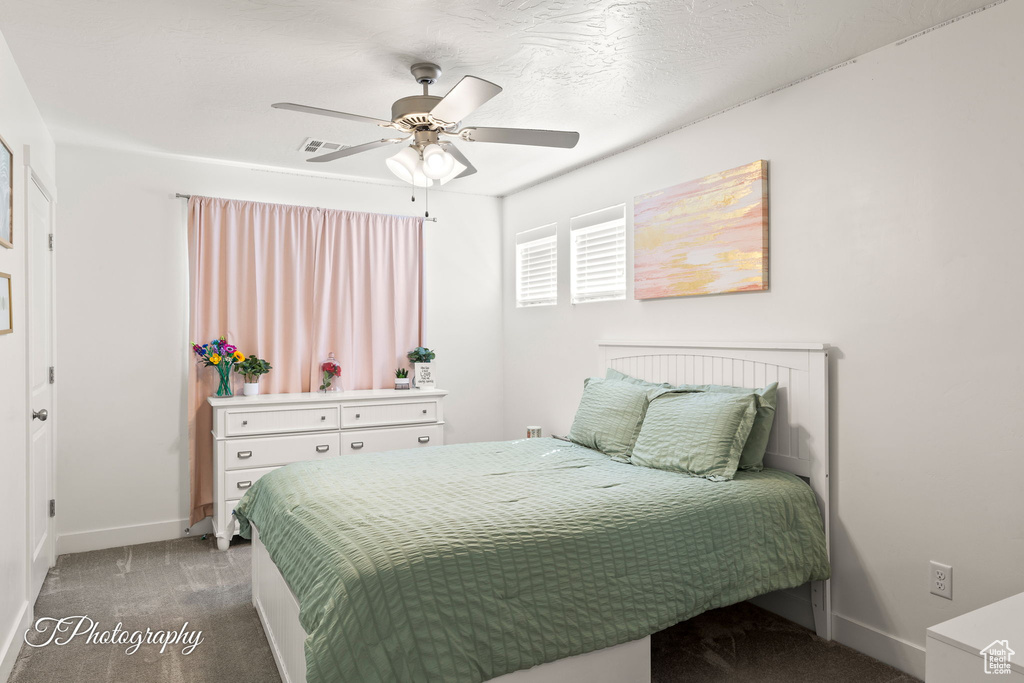 Photo 26 for MLS #2118531 at 3313 E Maple Mountain Dr