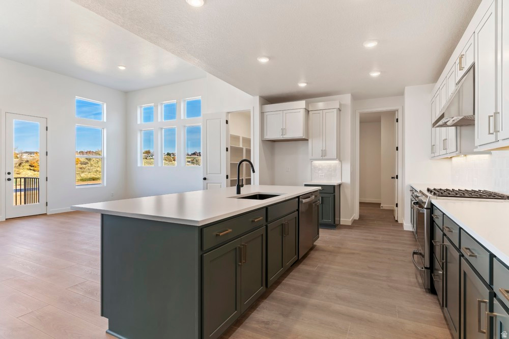 1251 E LARKSPUR WAY Layton, UT 84040