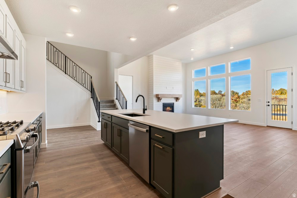 1251 E LARKSPUR WAY Layton, UT 84040