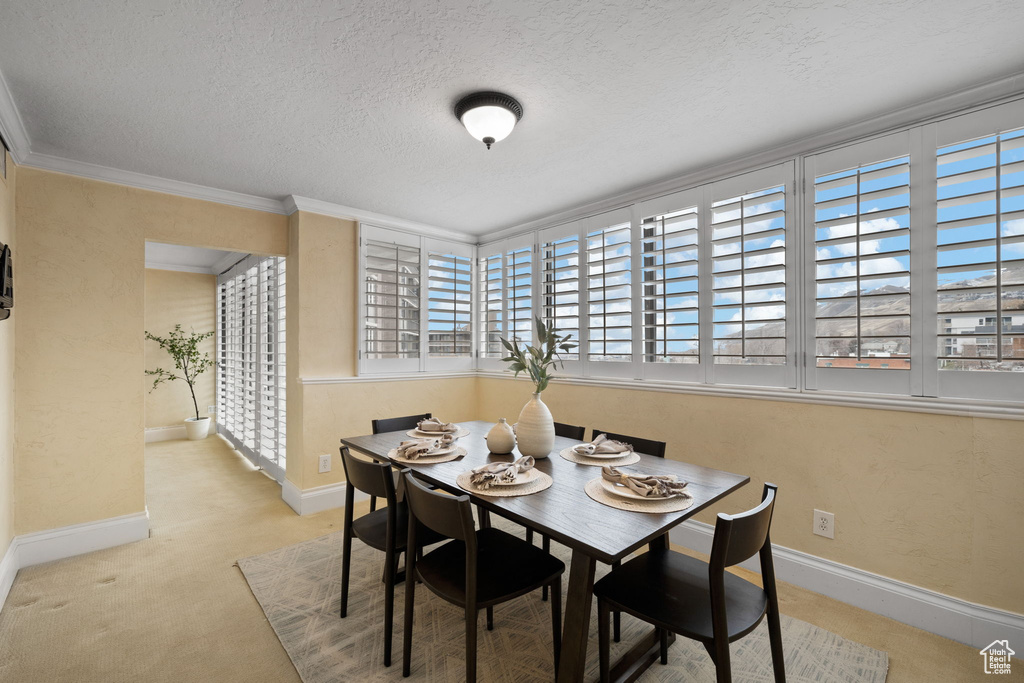 241 N VINE ST #707E Salt Lake City, UT 84103