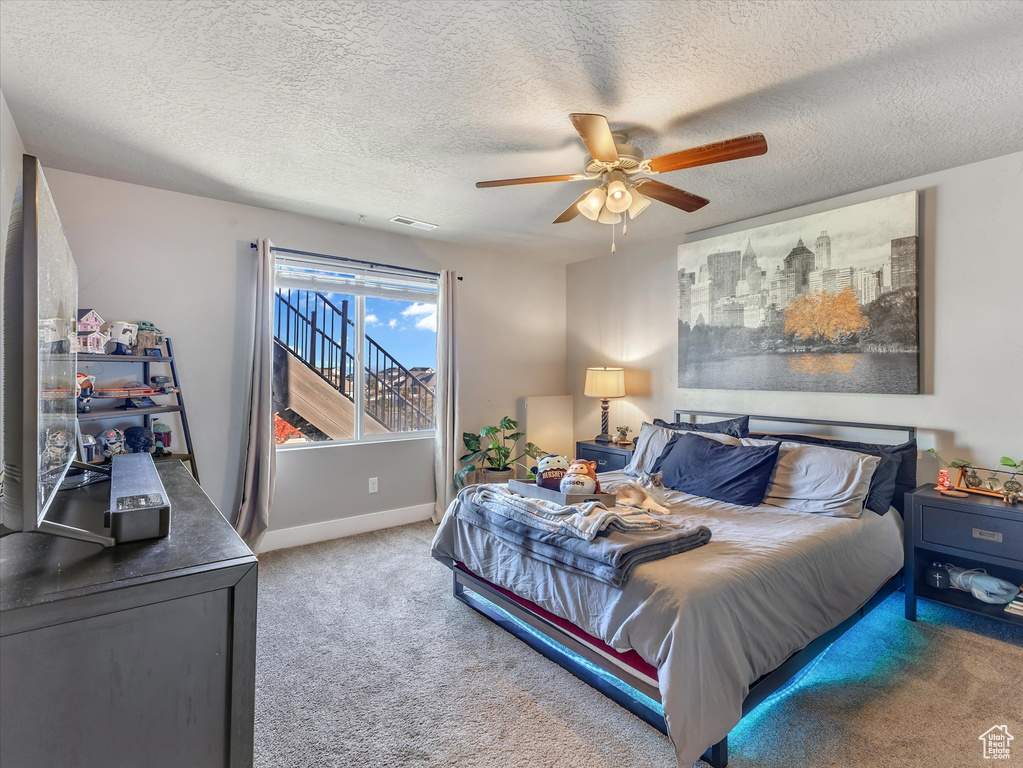 Photo 14 for MLS #2118620 at 8169 S Flaxton Ln