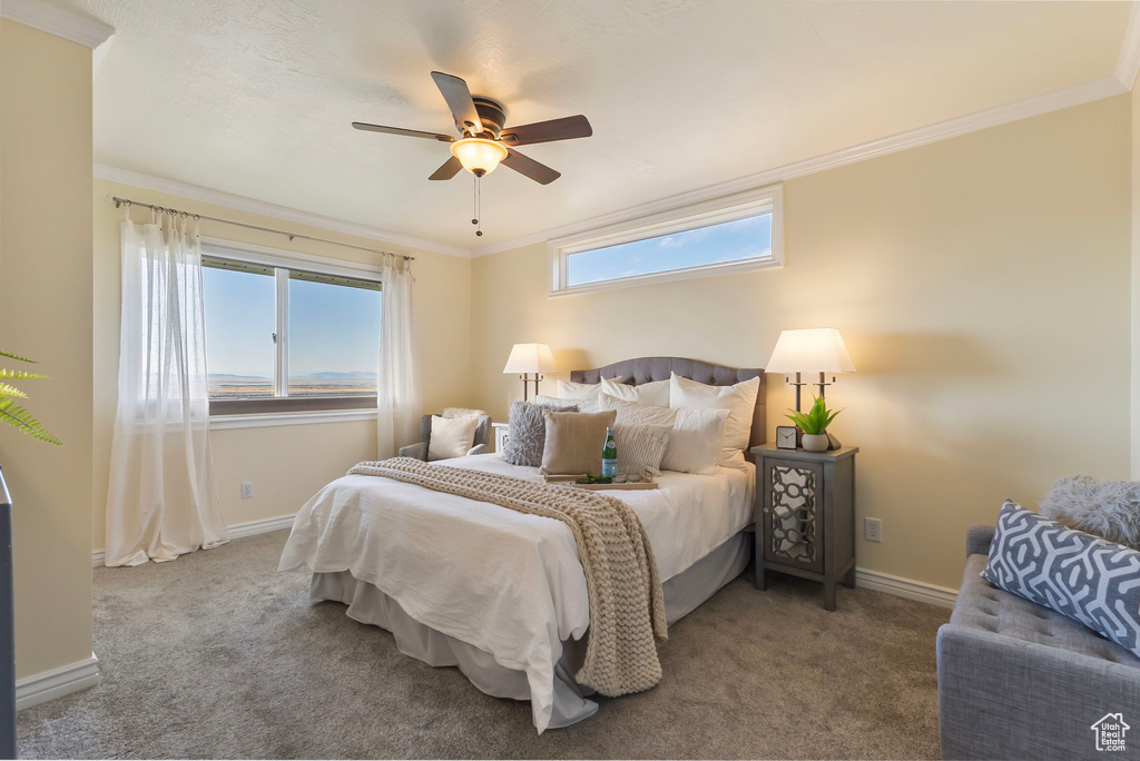 Photo 12 for MLS #2118630 at 683 Hillside Oak Cir