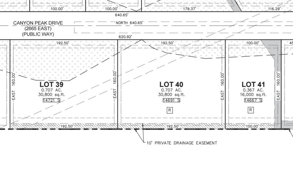 View photos for 14721 S Canyon Peak Dr 14721 S Canyon Peak Dr