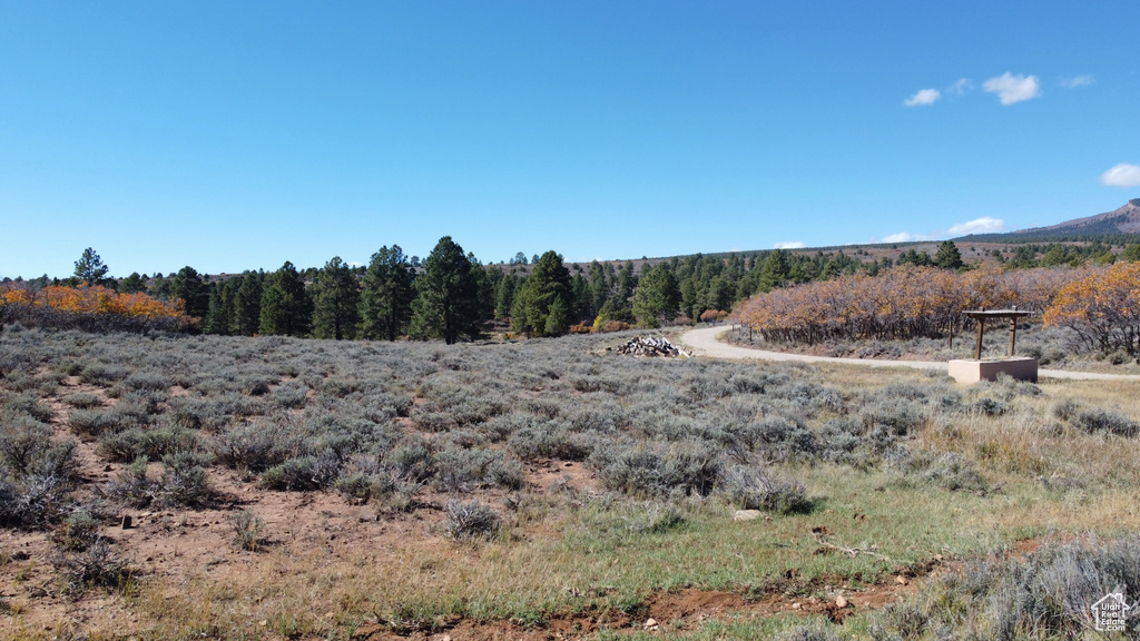 Photo 75 for MLS #2118661 at 75 W Dude Ranch Rd