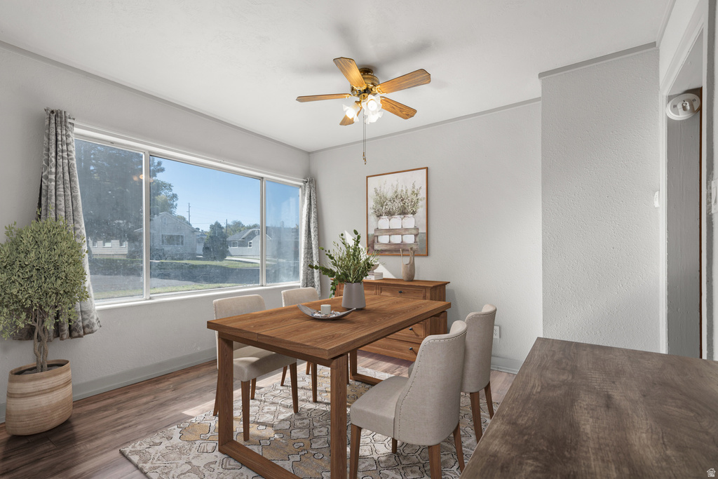 264 W INTERNATIONAL AVE Tooele, UT 84074