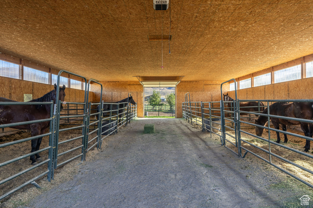 Photo 42 for MLS #2118702 at 883 E 11000 South