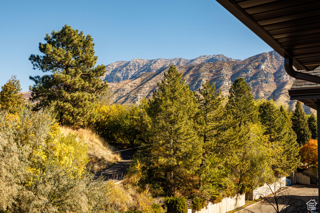 Photo 11 for MLS #2118797 at 2244 N Canyon Rd #305