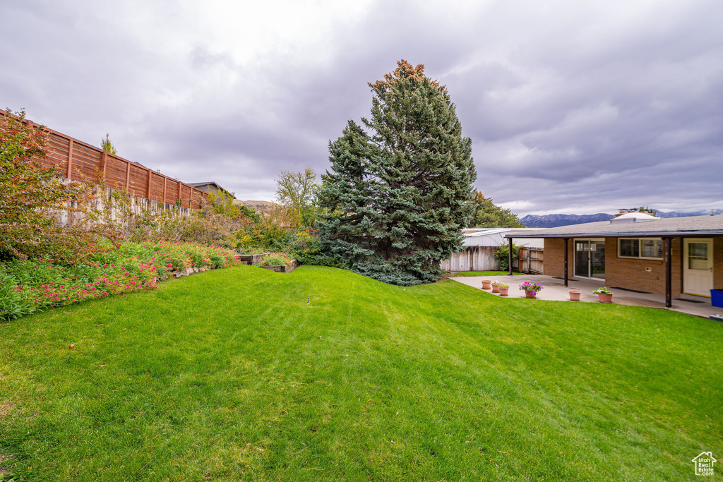 Photo 33 for MLS #2118813 at 209 E Dorchester Dr