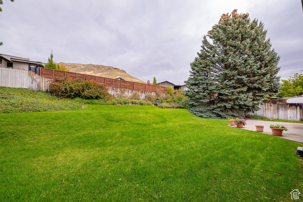 Photo 31 for MLS #2118813 at 209 E Dorchester Dr