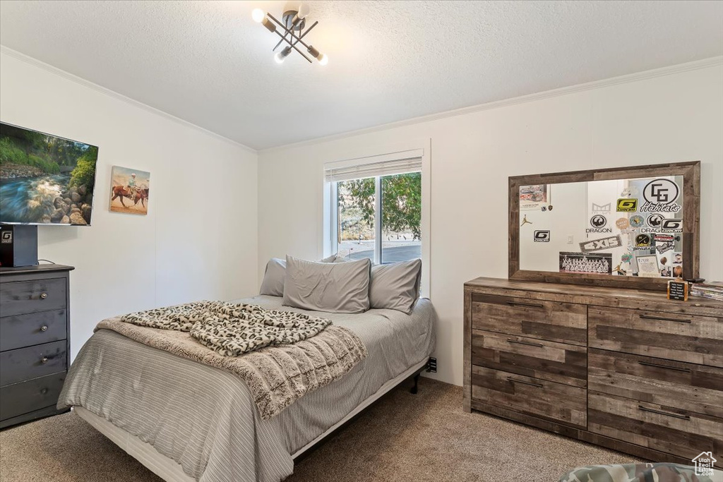 Photo 10 for MLS #2118854 at 2301 W Old Highway Rd