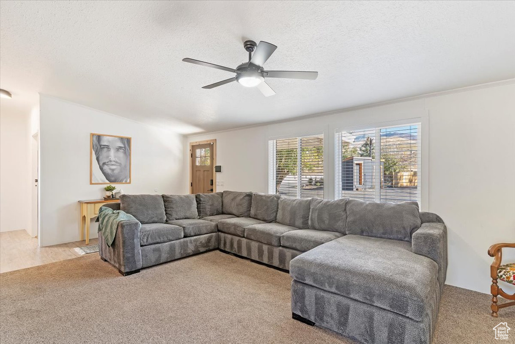 Photo 4 for MLS #2118854 at 2301 W Old Highway Rd
