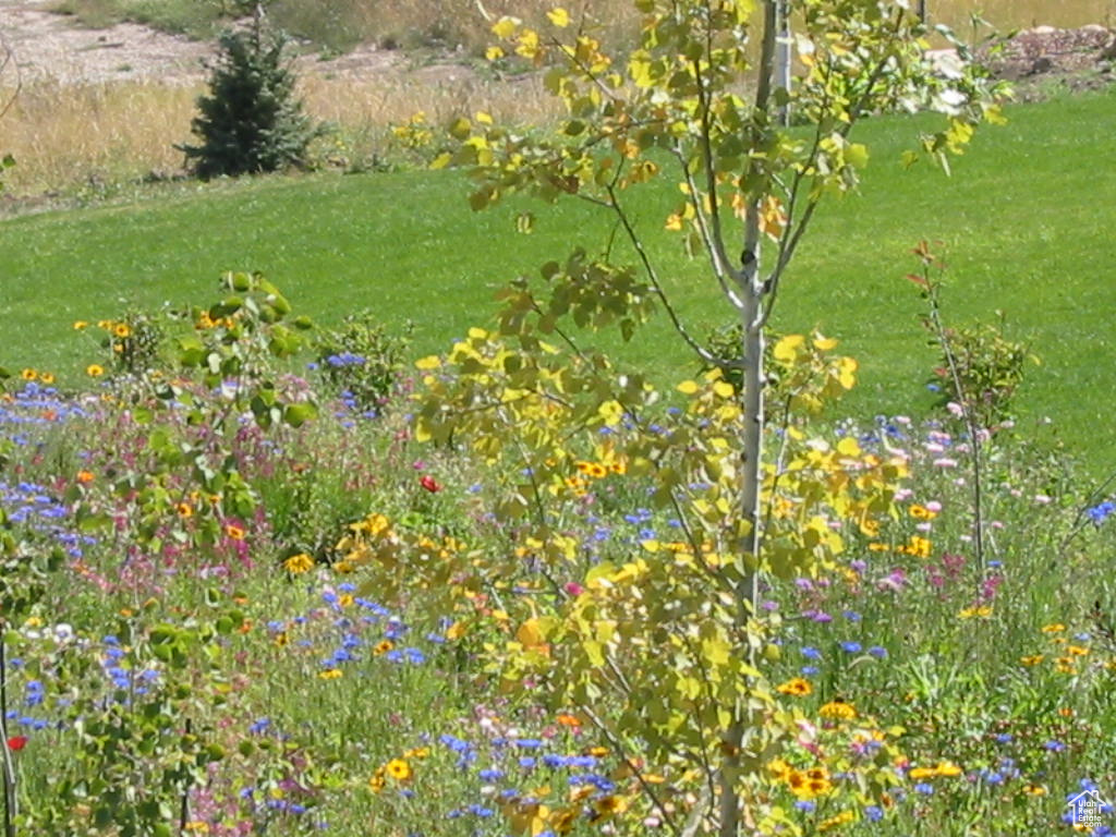 454 N LAKE VISTA DR Garden City, UT 84028