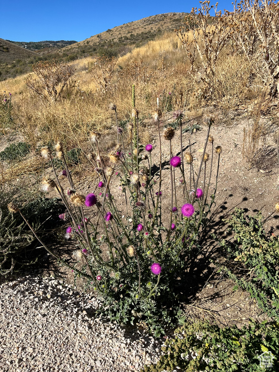 454 N LAKE VISTA DR Garden City, UT 84028