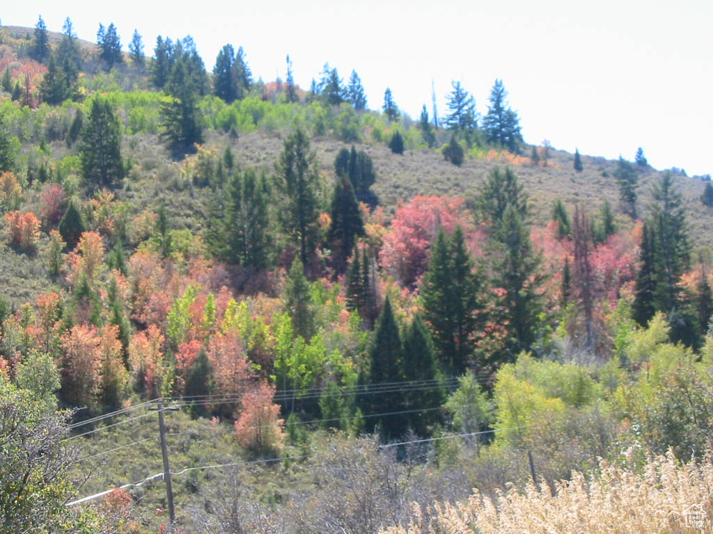 454 N LAKE VISTA DR Garden City, UT 84028