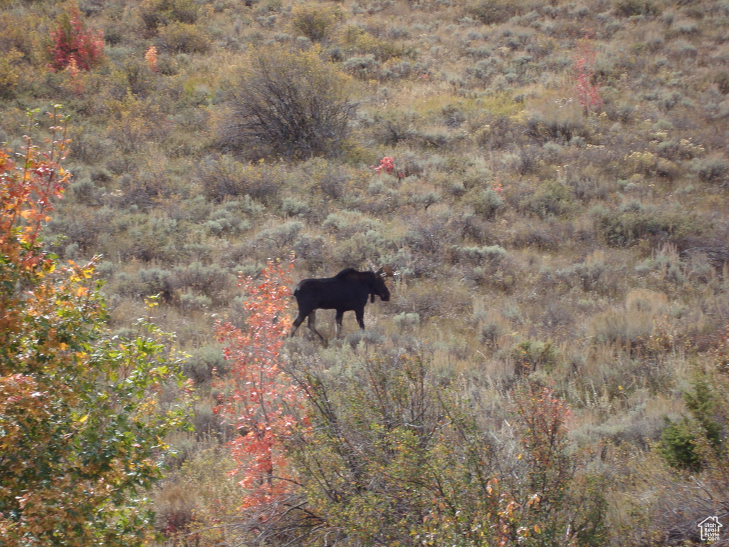 454 N LAKE VISTA DR Garden City, UT 84028