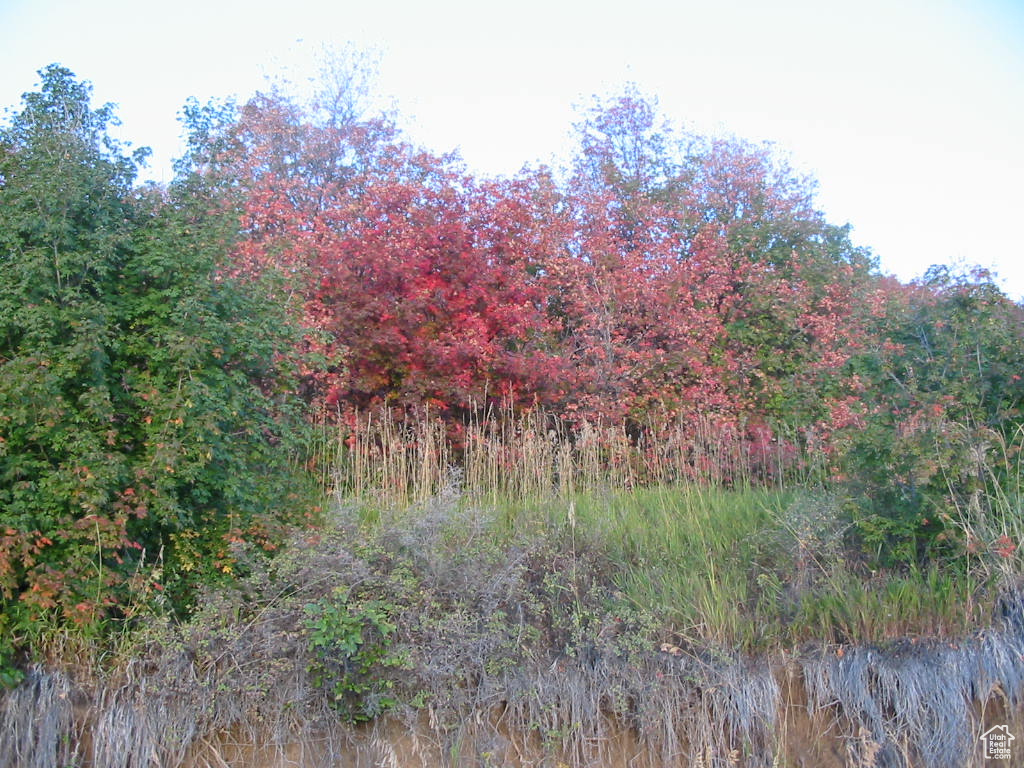 454 N LAKE VISTA DR Garden City, UT 84028