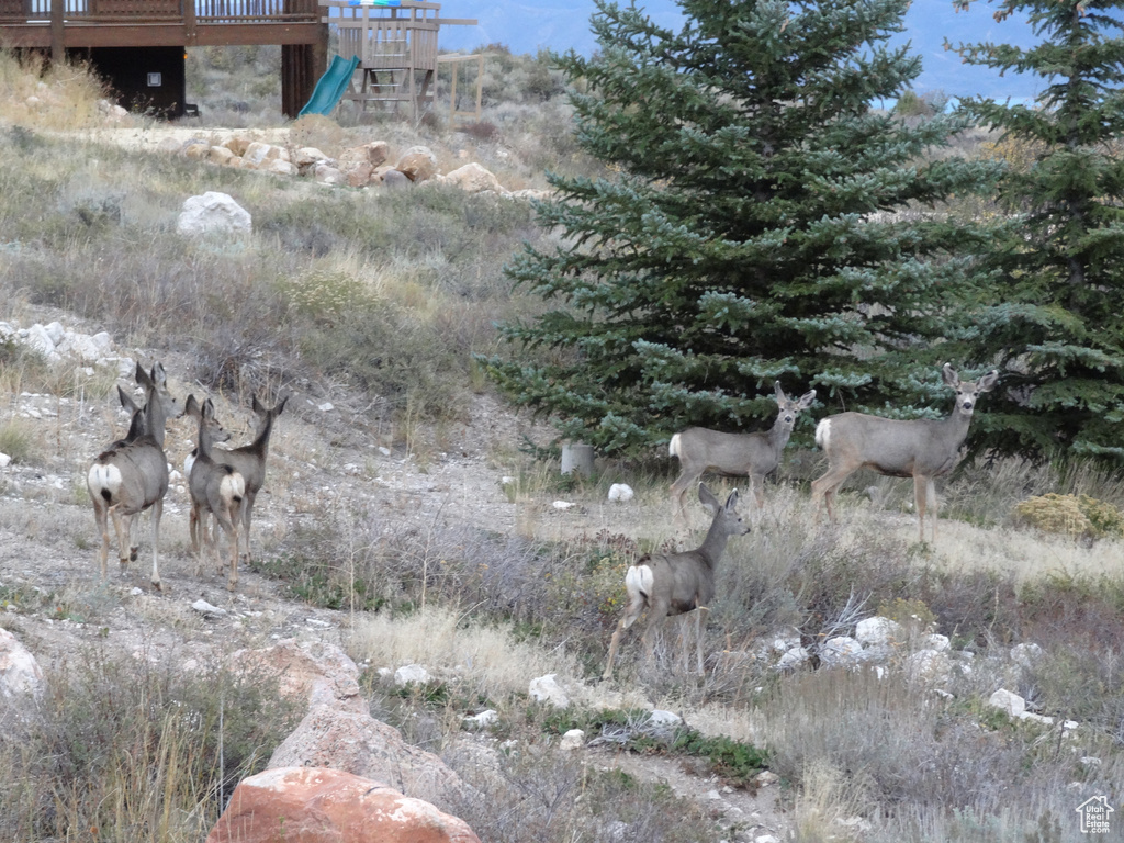 454 N LAKE VISTA DR Garden City, UT 84028