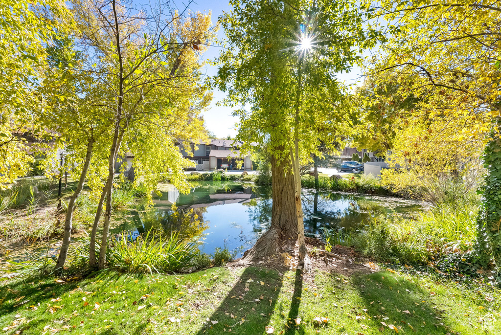 Photo 18 for MLS #2118889 at 5519 S Willow Ln #C