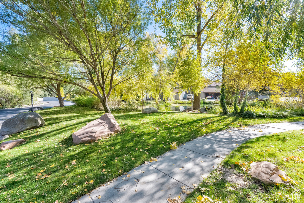 Photo 16 for MLS #2118889 at 5519 S Willow Ln #C