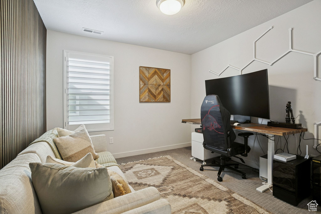 Photo 26 for MLS #2118938 at 313 W Snowberry Dr