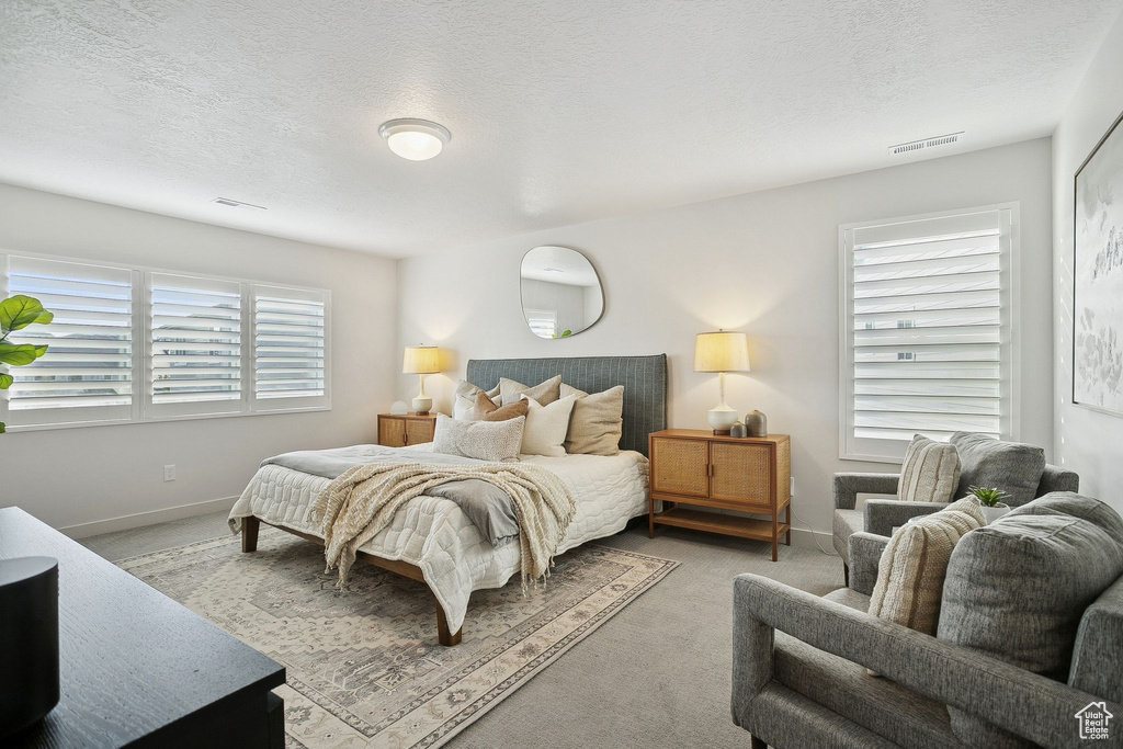 Photo 19 for MLS #2118938 at 313 W Snowberry Dr