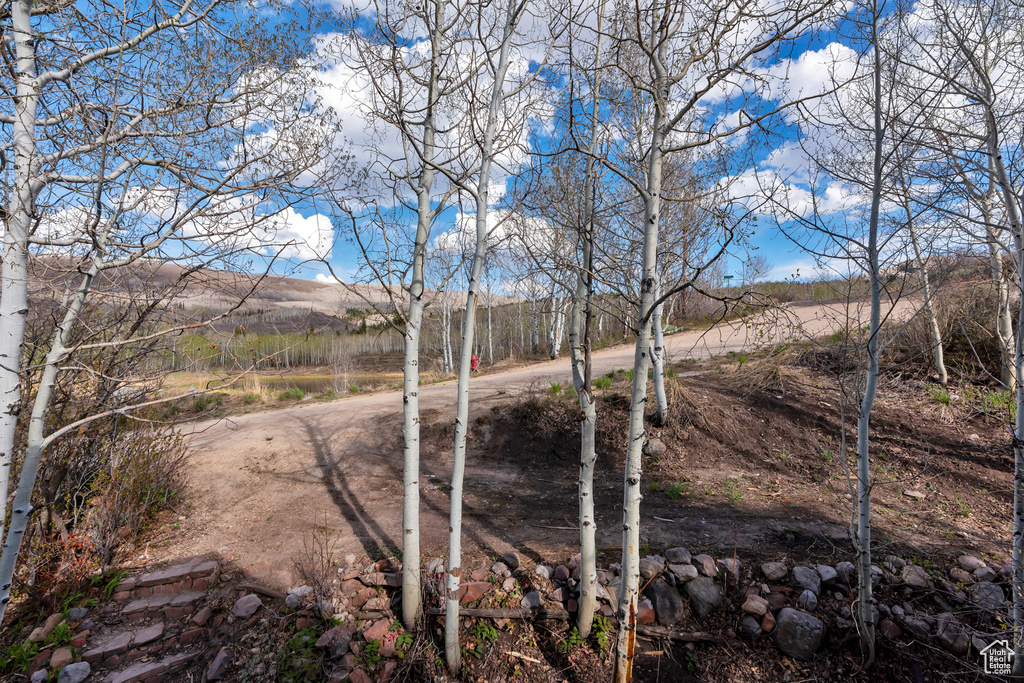 Photo 21 for MLS #2118950 at 10481 E Spring Creek Dr #722