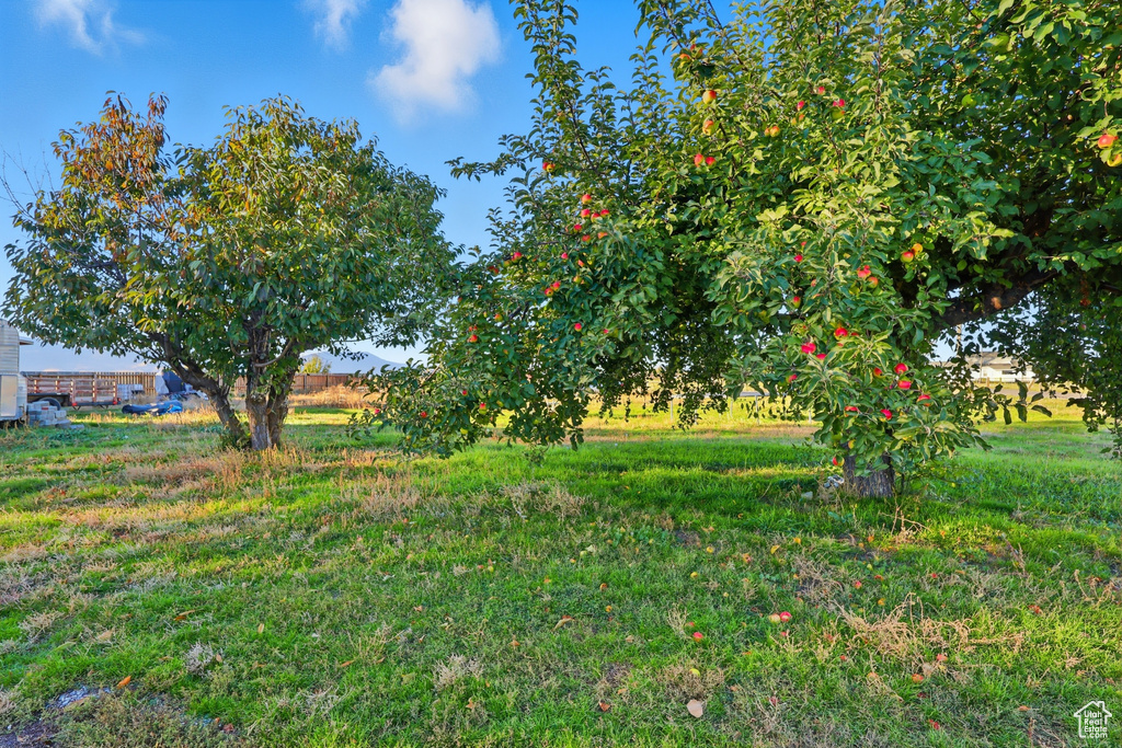 410 W 8TH S Preston, ID 83263