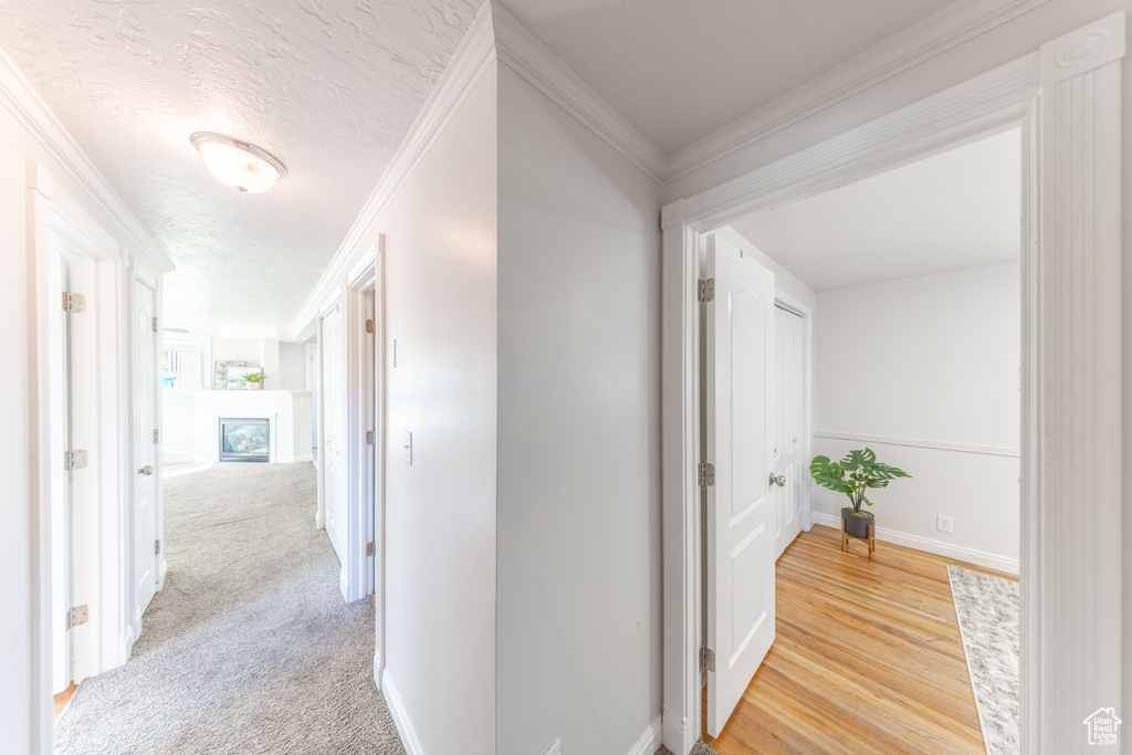 Photo 17 for MLS #2118988 at 1884 N Alder St