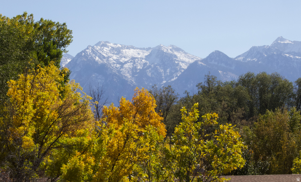 5396 S WILLOW LN #E Murray, UT 84107