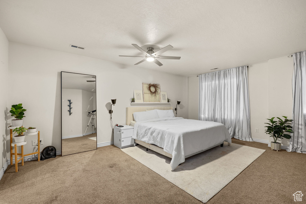 Photo 19 for MLS #2119016 at 2844 S Island Fox Ln
