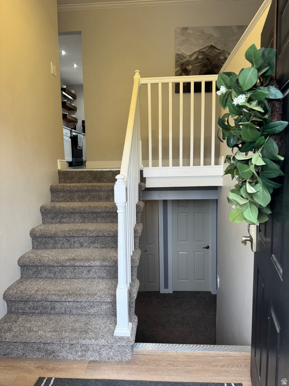 2973 W 14865 S Bluffdale, UT 84065