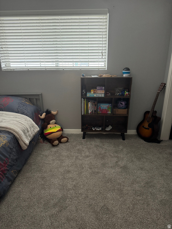 2973 W 14865 S Bluffdale, UT 84065