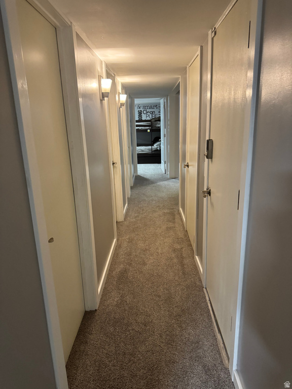 2973 W 14865 S Bluffdale, UT 84065