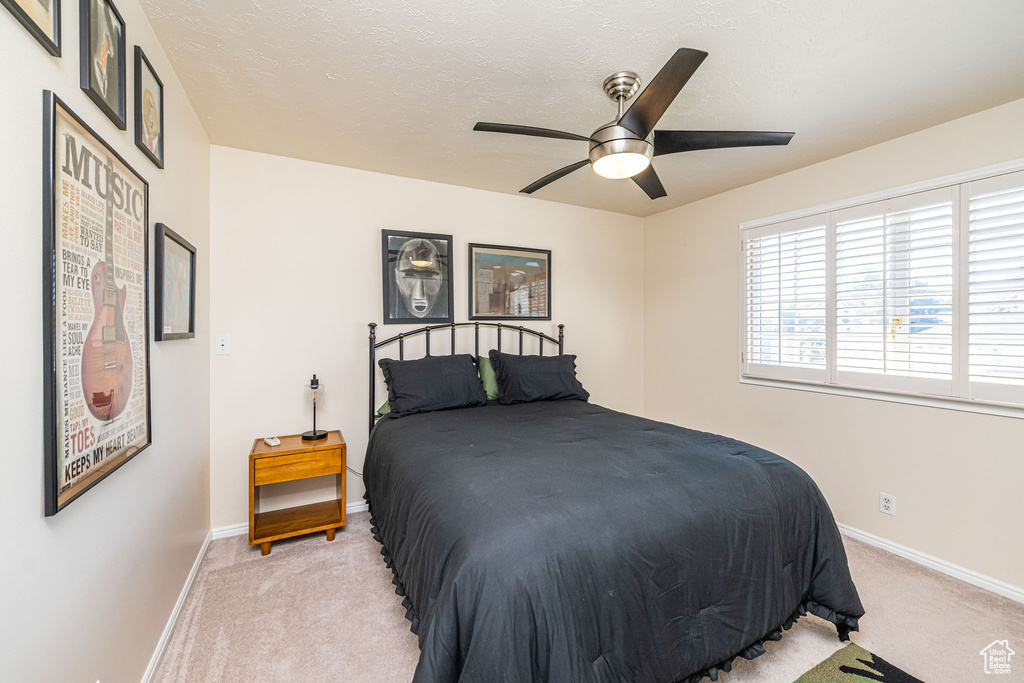 Photo 18 for MLS #2119032 at 2043 E Brady Creek Cir